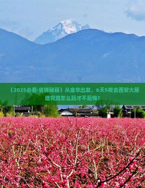 金华到西安大雁塔六日游