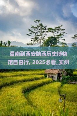 渭南到西安陕西历史博物馆自由行
