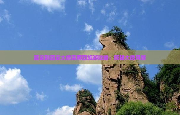 延安去西安大唐芙蓉园自由行