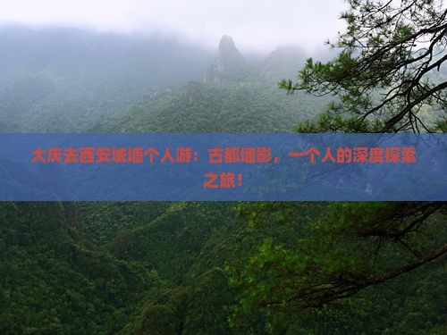 大庆去西安城墙个人游