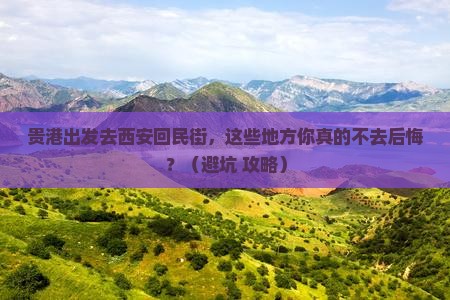 贵港去西安回民街必去地