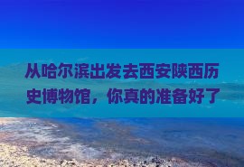 哈尔滨去西安陕西历史博物馆团体旅游