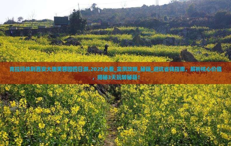 克拉玛依到西安大唐芙蓉园四日游