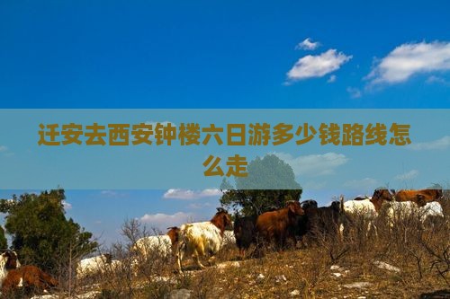 迁安去西安钟楼六日游