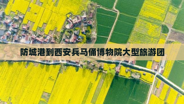 防城港到西安秦始皇帝陵博物院大型旅游团