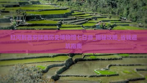 红河到西安陕西历史博物馆七日游