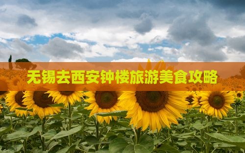 无锡去西安钟楼旅游小吃