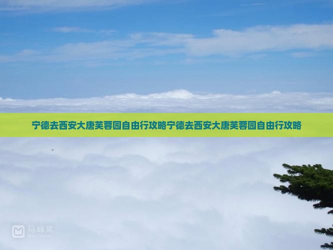 宁德去西安大唐芙蓉园自由行