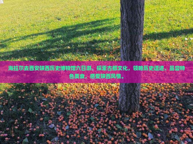 海拉尔去西安陕西历史博物馆六日游