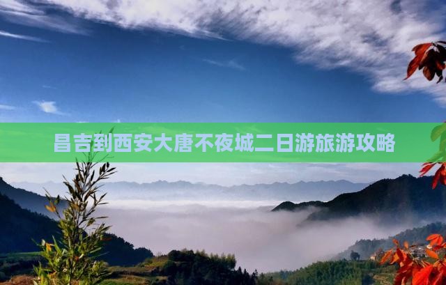昌吉到西安大唐不夜城二日游
