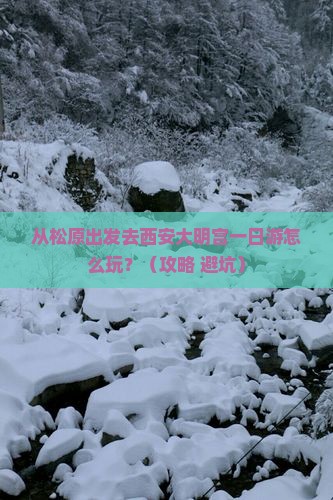 松原去西安大明宫国家遗址公园一日游