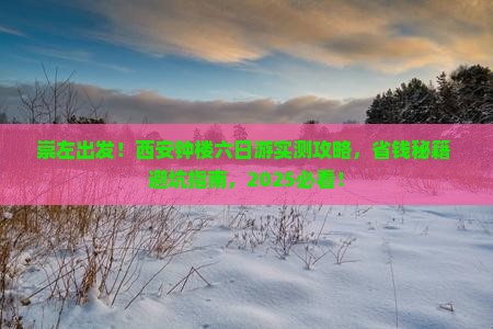 崇左到西安钟楼六日游