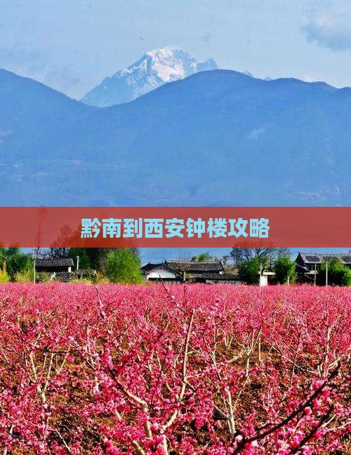 黔南到西安钟楼哪里玩