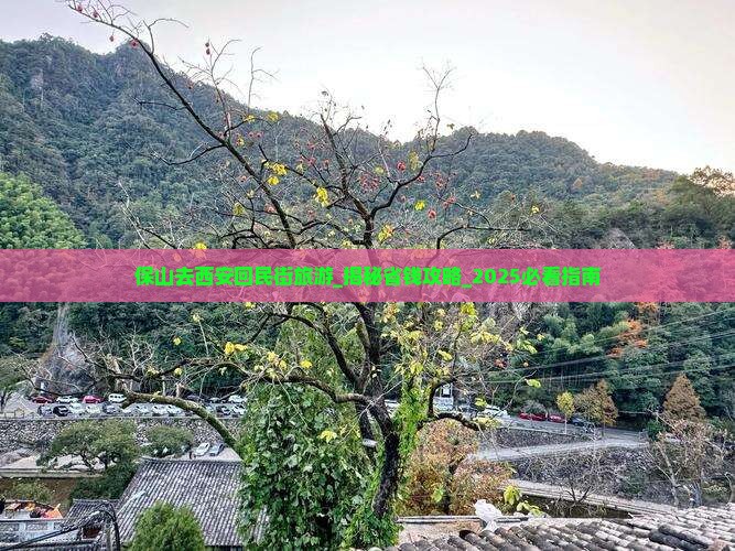 保山去西安回民街旅游