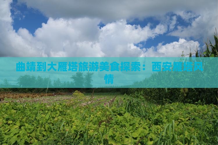 曲靖到西安大雁塔旅游小吃