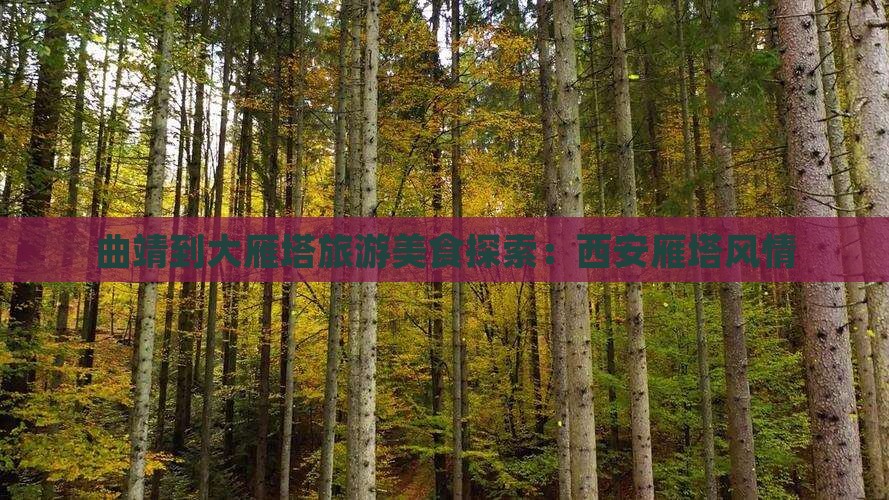 曲靖到西安大雁塔旅游小吃