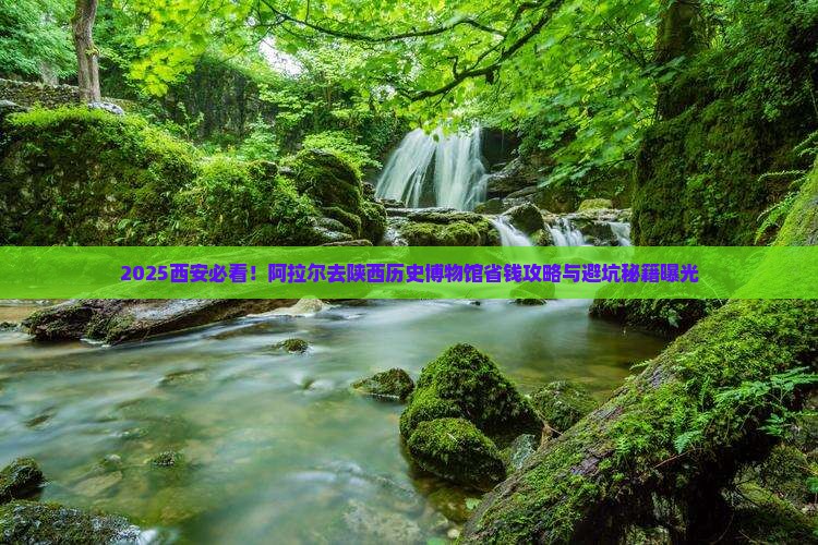 阿拉尔去西安陕西历史博物馆旅行社