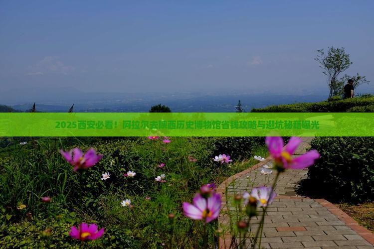 阿拉尔去西安陕西历史博物馆旅行社