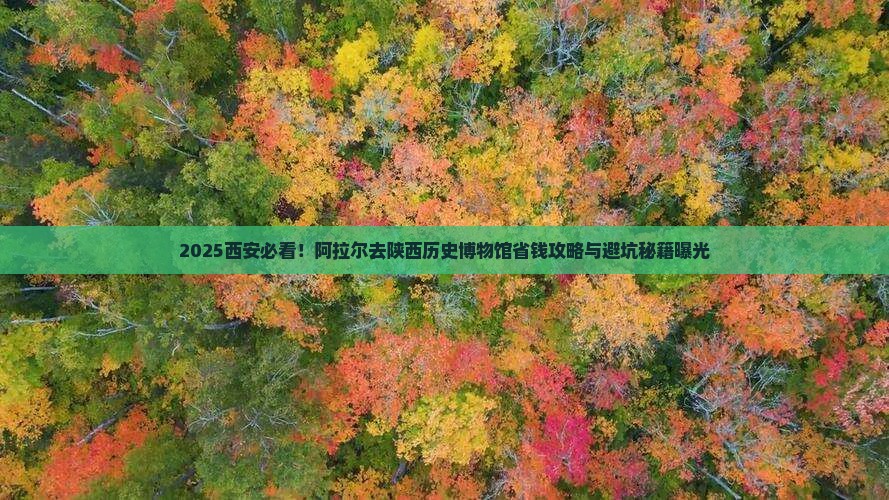 阿拉尔去西安陕西历史博物馆旅行社