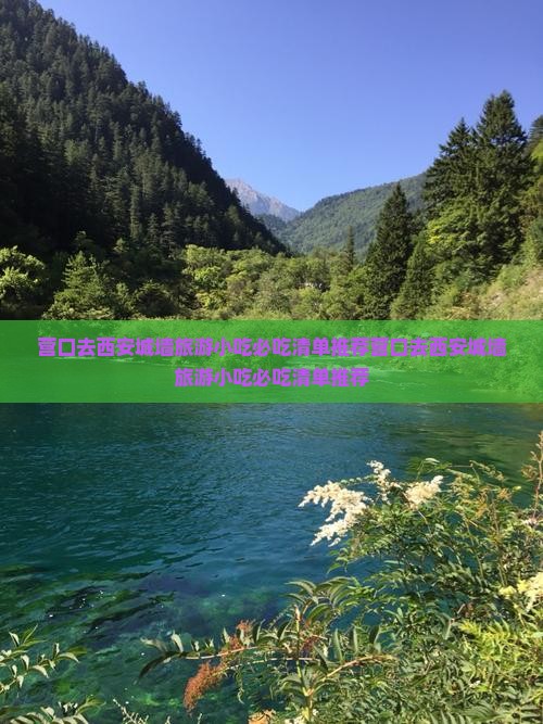营口去西安城墙旅游小吃