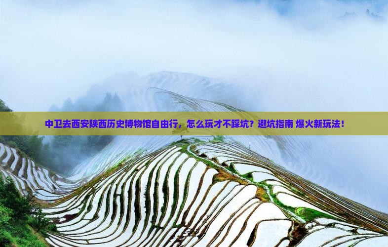 中卫去西安陕西历史博物馆自由行