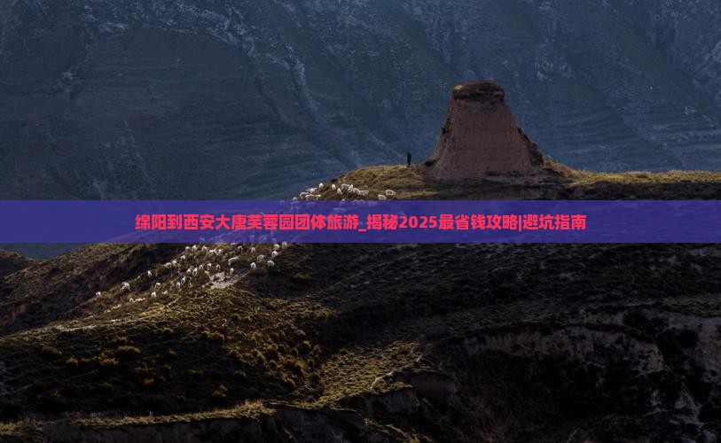 绵阳到西安大唐芙蓉园团体旅游