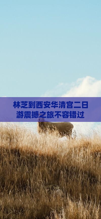 林芝到西安华清宫二日游