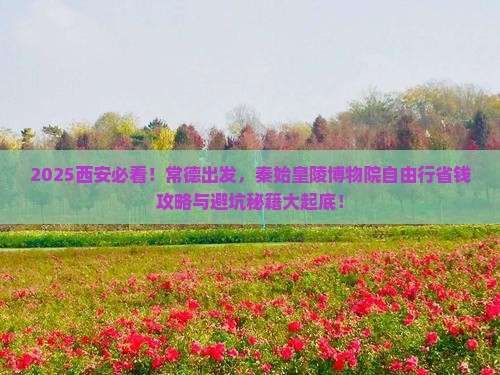 常德去西安秦始皇帝陵博物院自由行
