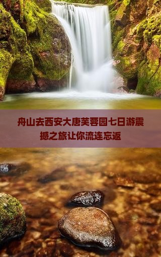 舟山去西安大唐芙蓉园七日游
