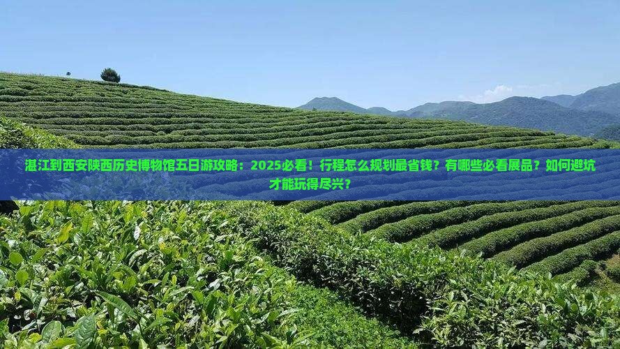 湛江到西安陕西历史博物馆五日游