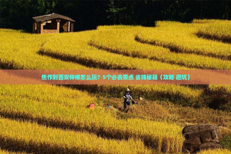 焦作到西安钟楼旅行社