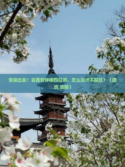 常德到西安钟楼四日游