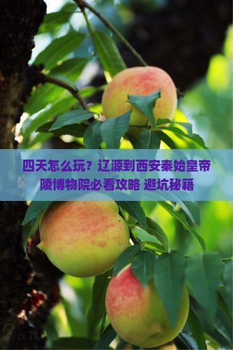 辽源到西安秦始皇帝陵博物院四日游