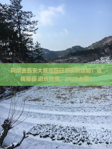 阿坝去西安大雁塔四日游