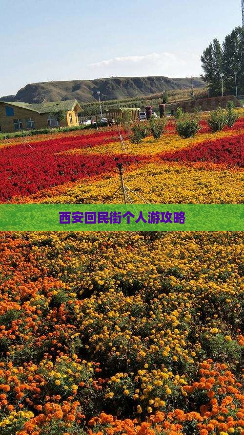 十月去西安回民街个人游