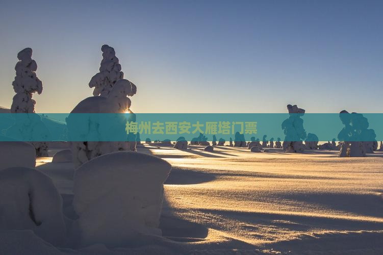 梅州去西安大雁塔门票