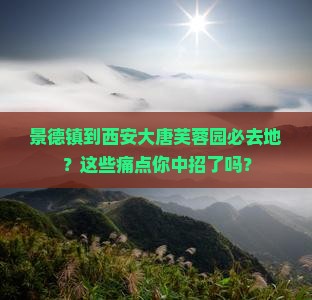 景德镇到西安大唐芙蓉园必去地