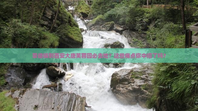 景德镇到西安大唐芙蓉园必去地
