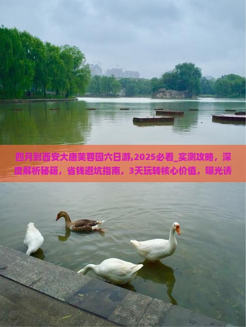 四月到西安大唐芙蓉园六日游