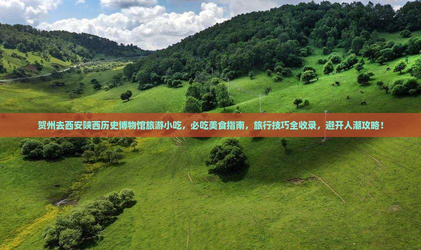 贺州去西安陕西历史博物馆旅游小吃