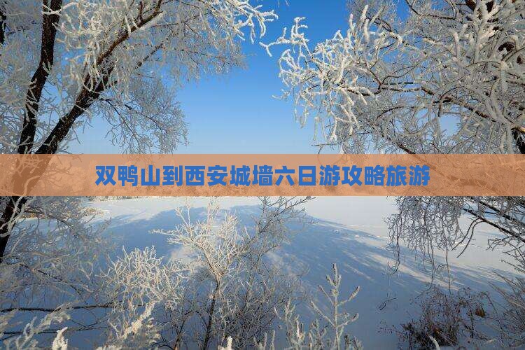 双鸭山到西安城墙六日游