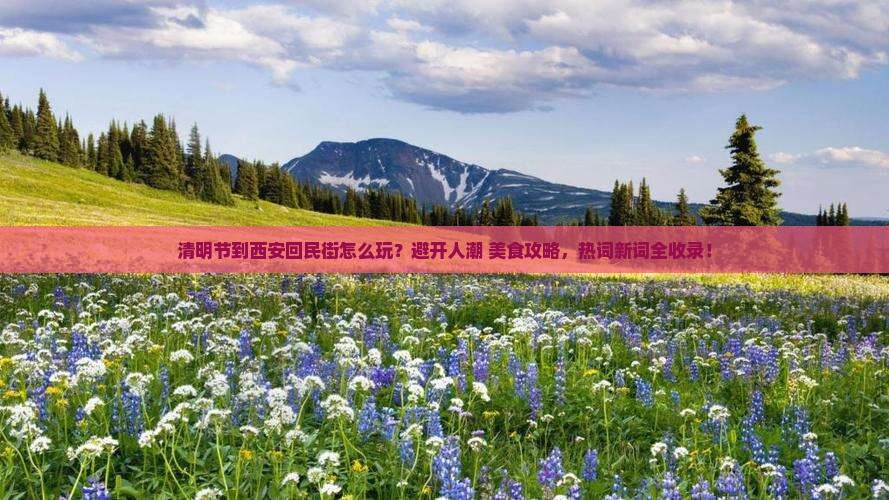 清明节到西安回民街攻略