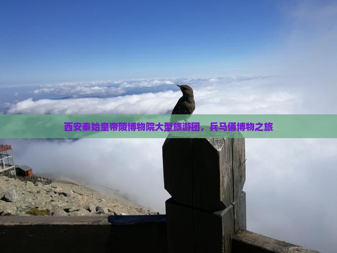漯河去西安秦始皇帝陵博物院大型旅游团