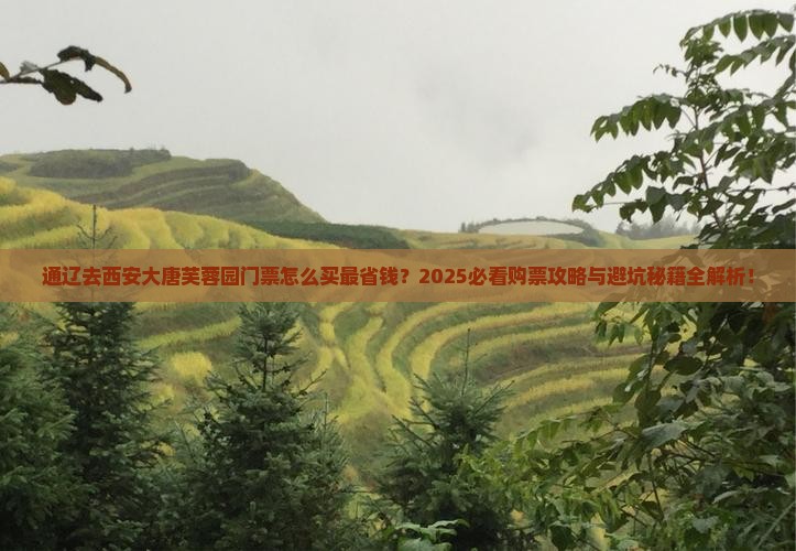 通辽去西安大唐芙蓉园门票