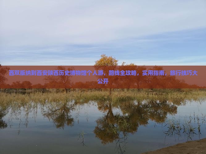 西双版纳到西安陕西历史博物馆个人游