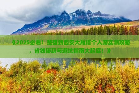 楚雄到西安大雁塔个人游