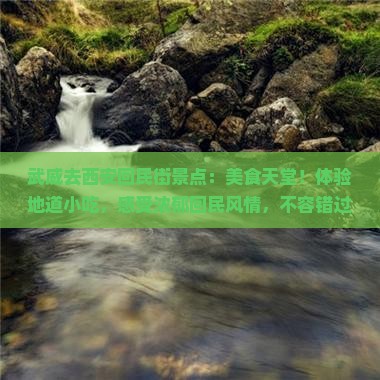 武威去西安回民街景点