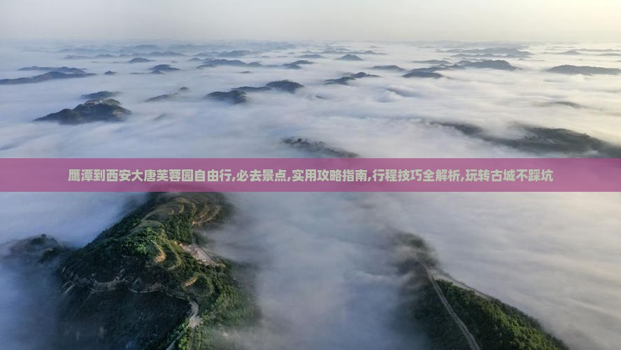 鹰潭到西安大唐芙蓉园自由行