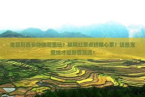 金昌到西安钟楼哪里玩