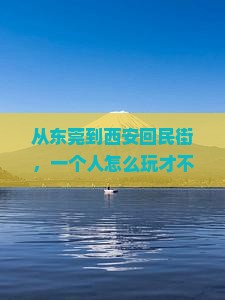 东莞到西安回民街个人游